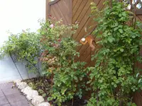 S1031282.webp