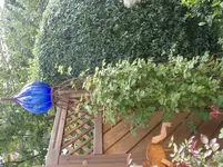 S1031283.webp