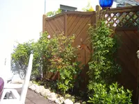 S1031287.webp