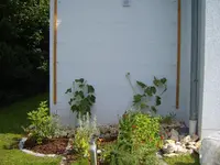 S1031295.webp