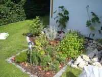 S1031308.webp