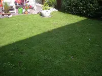 S1031315.webp