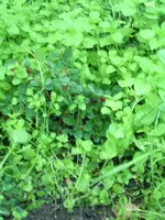 DSCN1633.webp