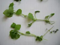 DSCN1643.webp