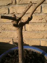 Dänemark 2010 067.webp