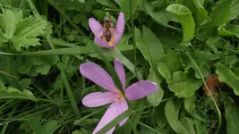 Ausflug 5.9.2010 019.webp