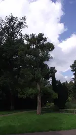 Ausflug 5.9.2010 043.webp
