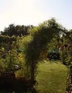 Herbstlich....webp