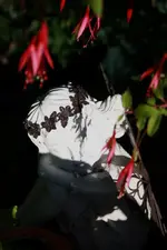 Träumender Engel.webp