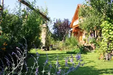 Gartenblick.webp