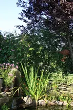Am Teich (2).webp