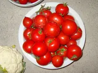 S1031319.webp