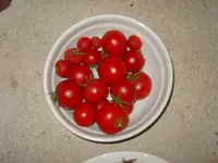 S1031320.webp