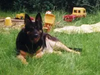 Kelly009.webp