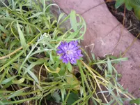P1060391.webp