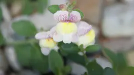 DSC04076.webp