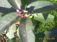 PICT0028.webp