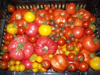 100_1753.webp