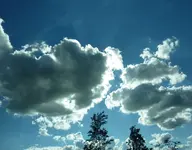 P1060128.webp