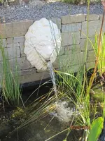 Bild 020.webp