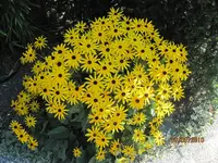 Bild 023.webp