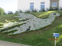 Bild 029.webp
