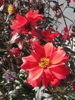 Bild 030.webp