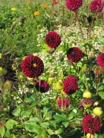 Bild 044.webp