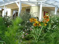 durch die blume....webp