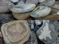 rocks 2.webp