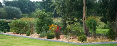 Rhodibeet im September.webp
