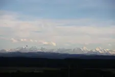 2010-8-5.webp