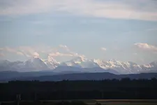 2010-8-1.webp