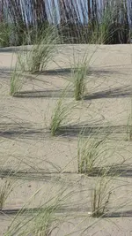IMG_2450.webp
