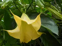 DSCN0014.webp