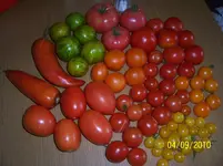 100_2630.webp