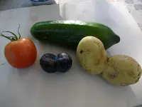 2010 -9-  Garten 089.webp