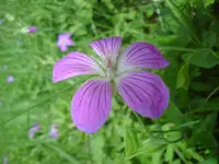 DSC01748.webp
