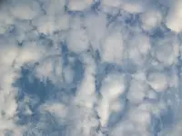 2010 -9-  Garten 070.webp