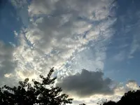 2010 -9-  Garten 074.webp