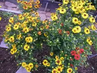 130809 007_Bildgröße ändern.webp