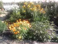 Foto0013.webp