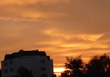 P1060135.webp