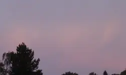 P1060137.webp