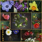 Spring 2010 v.webp
