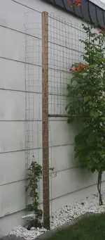 Peveril Perfusion eingesetzt.webp