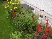 STA40059.webp