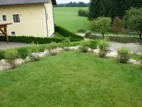 P1000517.webp