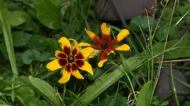 DSC04080.webp
