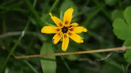 DSC04081.webp